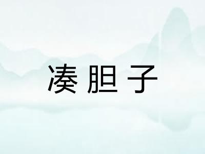 凑胆子