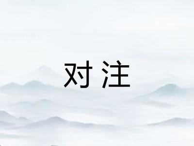 对注