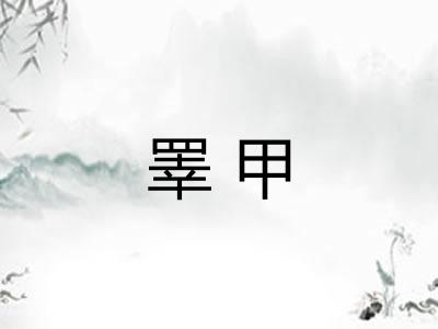 睪甲