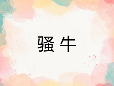 骚牛