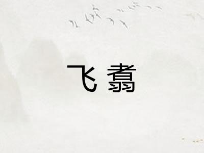 飞翥