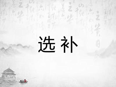 选补