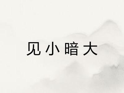 见小暗大