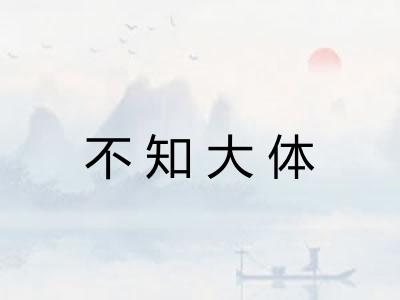 不知大体