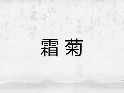 霜菊
