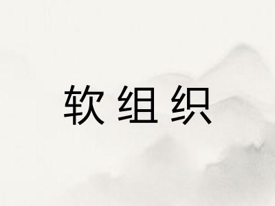软组织