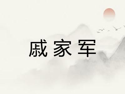 戚家军