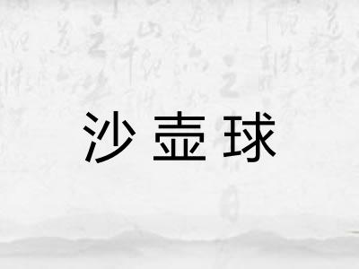 沙壶球