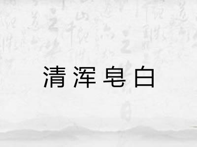 清浑皂白