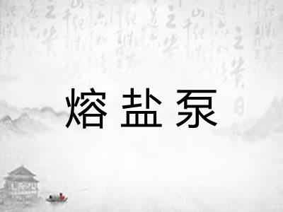 熔盐泵