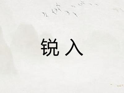 锐入