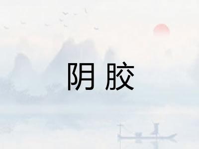 阴胶