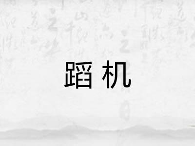 蹈机