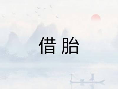 借胎
