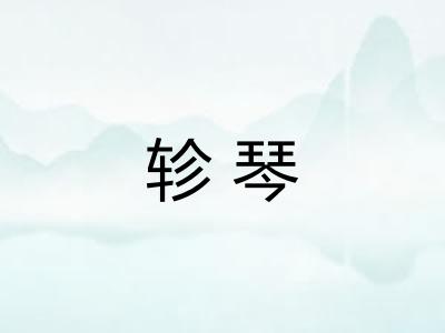 轸琴