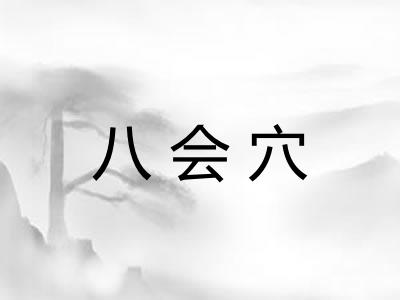八会穴