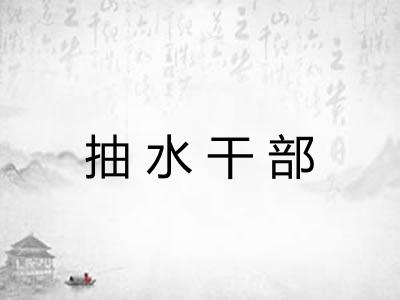 抽水干部
