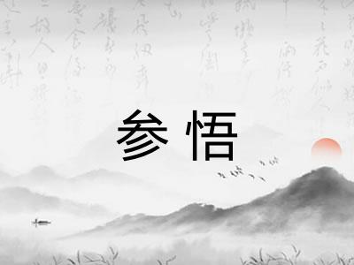 参悟