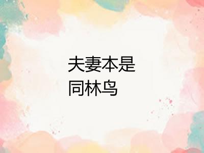 夫妻本是同林鸟