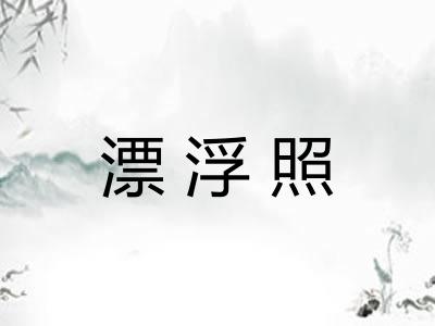漂浮照