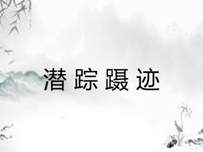 潜踪蹑迹