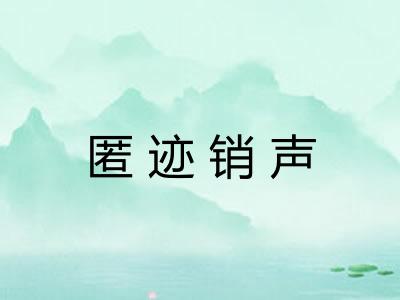 匿迹销声
