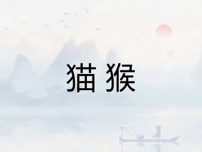 猫猴