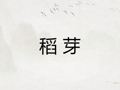 稻芽