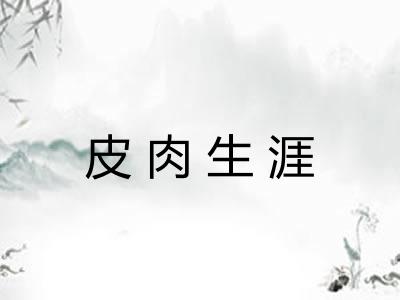 皮肉生涯