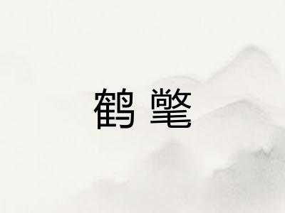 鹤氅