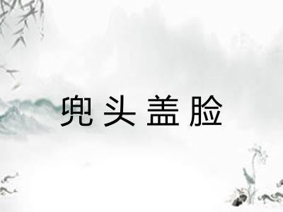 兜头盖脸