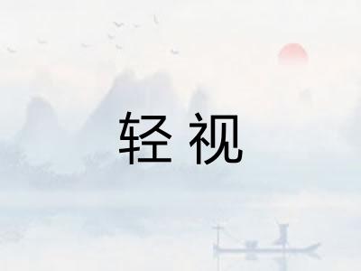 轻视