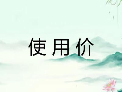使用价