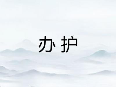 办护