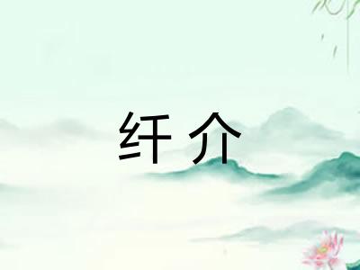 纤介