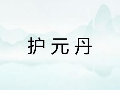 护元丹