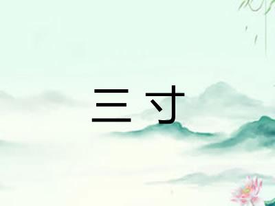 三寸