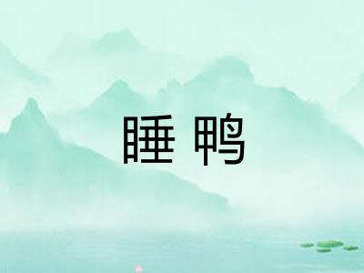 睡鸭