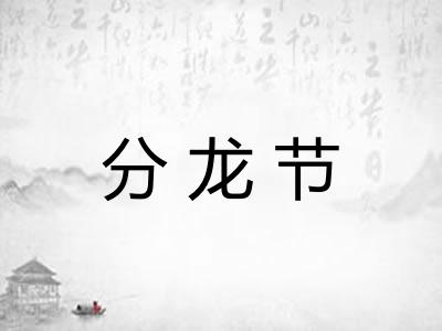 分龙节