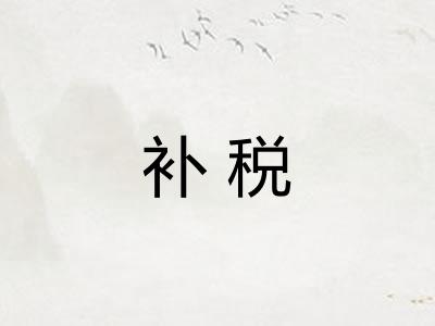 补税