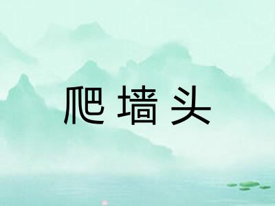 爬墙头