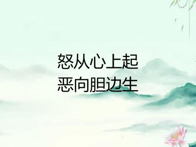 怒从心上起恶向胆边生