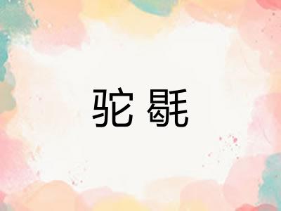 驼毼