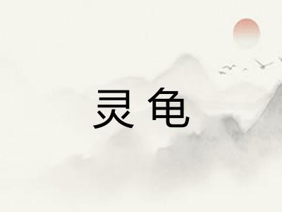 灵龟