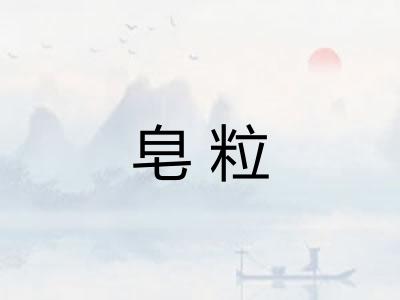 皂粒