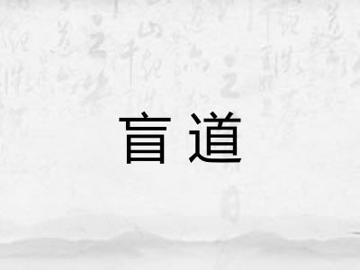 盲道