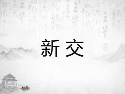 新交