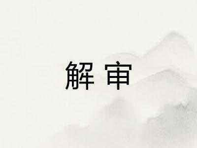解审