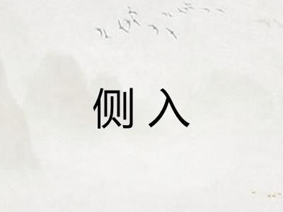 侧入