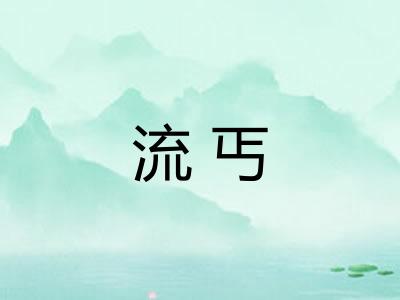 流丐